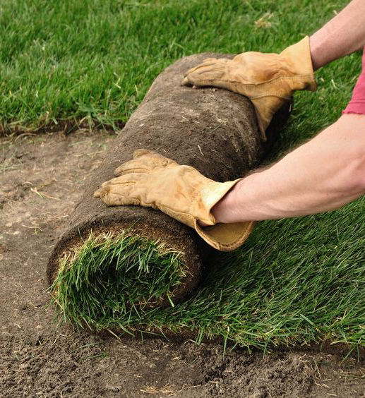 gazon adapté à tous vos projets professionnels