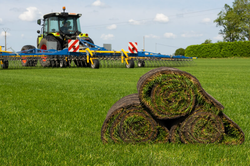 Ne craquez pas pour le gazon synthétique