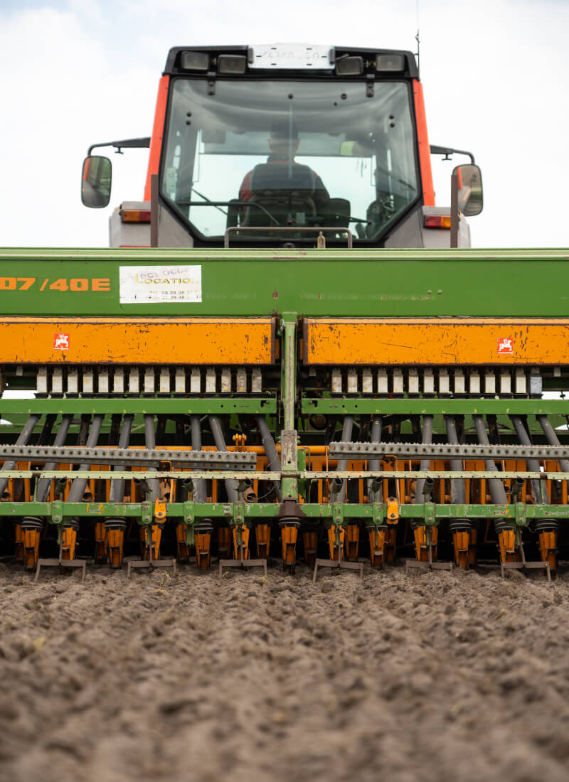 le semi de nos gazon en rouleaux