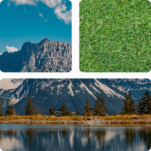 gazon en rouleaux Classic