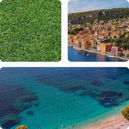 gazon en rouleaux Rustic