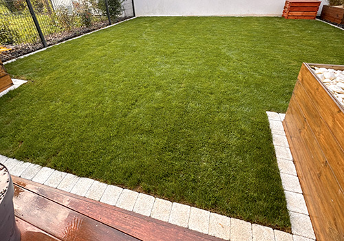 Notre gazon en rouleaux dans le jardin de Auger en Charente-Maritime