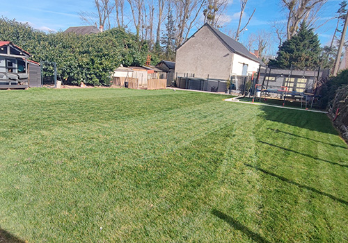 Notre gazon en rouleaux dans le jardin de Heltzle en Indre-et-Loire