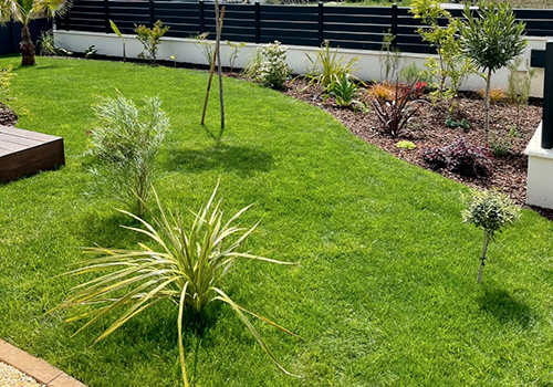 Notre gazon en rouleaux dans le jardin de Jean-Marc L. dans les Landes