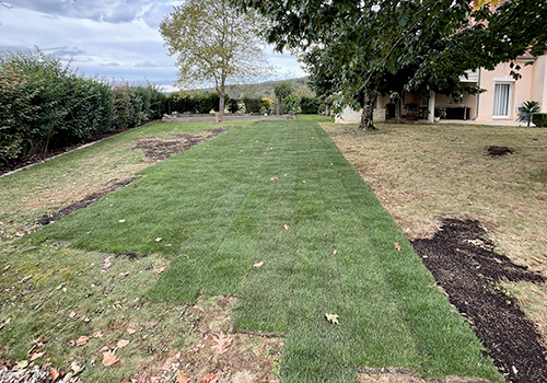 Notre gazon en rouleaux dans le jardin de Sanson des les Pyrénées-Atlantiques